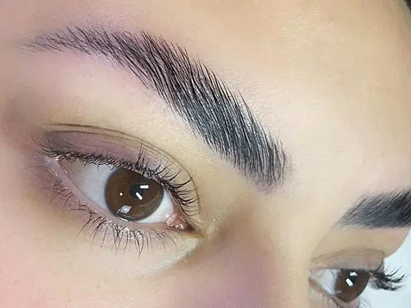 eyebrows